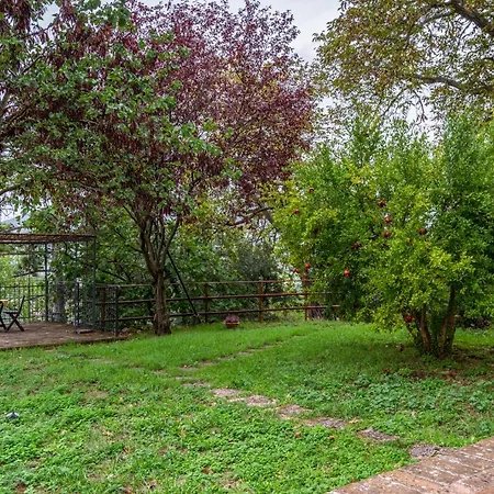 公寓 On The Slopes Of Monte Malbe House Colle Umberto (Umbria)